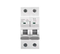 Disyuntor GYM9H 10KA MCB 2P 6A-63A 220V Curva C Fabricante chino 6A-63A 1 ud.(40A)