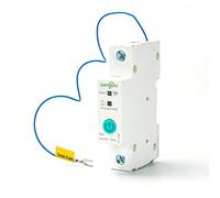 Disyuntor,Interruptor AutomáTico MagnetotéRmico Disyuntor WIFI 1P 63A Riel DIN Interruptor Inteligente Control Remoto For Smart Home(16A)