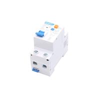 Disyuntor,Interruptor AutomáTico MagnetotéRmico NXBLE-63Y 6A 10A 16A 32A 63A 10MA 0,01A 30MA,03A RCBO 1P+N Disyuntor De Corriente Residual Con Protección Contra Sobrecorriente(10MA 1P 1N,63A)