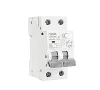 Disyuntor magnético GYR9NM AC tipo RCBO 2P 4P con protección contra sobrecorriente y fugas, carril Din 10A 16A 25A 32A 40A(100mA,2P 25A)