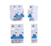 Disyuntor MCB 1P/2P 12V 24V 36V 48V 60V 72V 96V 120V Isolato100A 125A 150A 200A 250A Baterías del inversor(1P,250A)