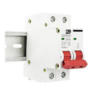 Disyuntor MCB 2P CC, 12 V, 24 V, 48 V, 500 V, protector de batería for coche DZ47, protección de polo positivo y negativo, interruptor aislador(100A)