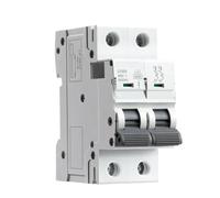 Disyuntor mini de riel DIN GYM9 de 2 polos, 230 V, 6 A-63 A, tipo CA, fabricado en China(40A)