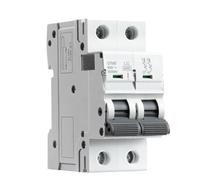 Disyuntor mini de riel DIN MCB con capacidad de corte GYM9 2P 6KA, 6A-63A, tipo CA, fabricante directo de fábrica(50A)