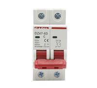 Disyuntor miniatura tipo C DZ47 400 V 2P 3-125 A, protector contra cortocircuitos y sobrecargas, montaje en riel DIN de 35 mm(63a)