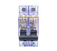 Disyuntor miniatura transparente DZ47-63, 16-63 A, 1P/2P/3P/4P, montaje en riel DIN con protección contra sobrecargas for uso doméstico (1 unidad)(50A,2)