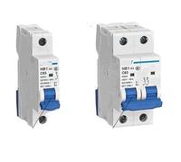 Disyuntor NB1-63 1P 2P 10A-63A 220V 10A, 16A, 20A, 25A, 32A, 40A, 50A, 63A(1P,63A)
