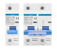 Disyuntor solar fotovoltaico MCB DC 1000 V/500 V 125 A, 1P 2P, 4 polos, 80 A, 100 A, protector de batería DZ47Z-125 (1 unidad)(100A,1)