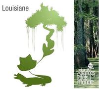 Divers - AMBIANCES DES GRANDES FORETS DU MONDE : LOUISIANE