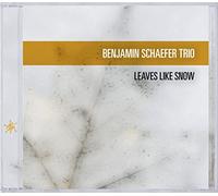 DIVERS - Benjamin Schaefer Trio : Leaves Like Snow