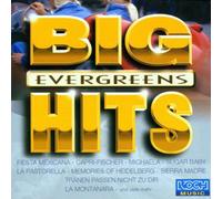 Diverse - Big Hits Evergreens [Import]
