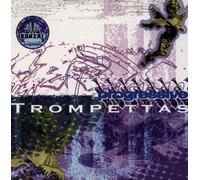 Diverse - Bonzai Trance Progressive Trom [Import]
