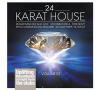 Diverse Pop - 24 Karat House Vol.2 [Import]