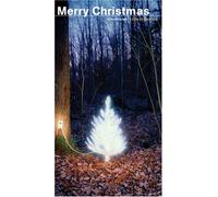 Diverse Pop - Chronicles-Merry Christm [Import]