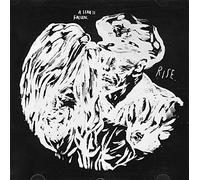 Diverse (Pop, Internat.) - Comin Down Fast [Import]