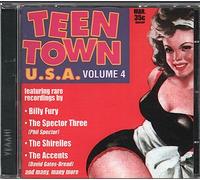 Diverse - Teen Town U.S.a. Vol.4