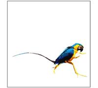 Diverse - Trip Do Brasil 2 [Vinilo]