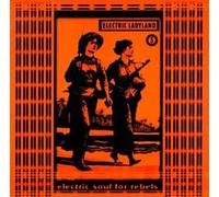 Diverse (Trip Hop) - Vol. 5-Electric Ladyland