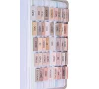 DiverseBee Pestañas de la Biblia española (impresión grande, fácil de leer), pestañas de diario de la Biblia, regalo cristiano, 66 pestañas de la Biblia Antiguo y Nuevo Testamento, incluye libros