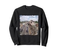 Divertida Cámara Tráfico Autopista Ardilla Voladora Sudadera