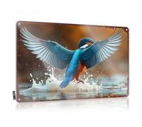 Divertida decoración al aire libre Kingfisher In Flight: A Splash Of Nature'S Beauty Cartel de hojalata con texto sarcástico divertido para la casa (30 x 40 cm)
