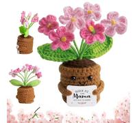 Divertida Ganchillo Flores, Flores de Crochet Positivas + tarjeta, Lindo Adorno Flo-res de Cro-chet, Flor-es Tejidas a Cro-chet Maceta, regalo para abuela, regalo de cumpleaños, día de la madre