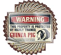 Divertida pegatina para parachoques con texto en inglés "Warning This Property is Protected by A Highly Trained Guinea Pig Funny Sticker 10 Pcs Car Stickers for Men No Stupid People Sign" (6 x 9 cm)