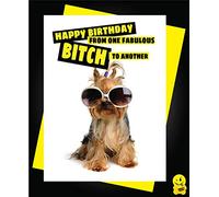 Divertida tarjeta de cumpleaños de animales banter Cheeky humor lindo perro niña amiga de una fabulosa perra a otro C333