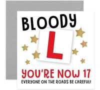 Divertida tarjeta de cumpleaños número 17 para nieto adolescente, con texto en inglés "Everyone on the Roads Be Careful!", regalo humorístico para conductor adolescente, interior en blanco con sobre