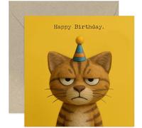 Divertida tarjeta de cumpleaños para amigo, compañero de trabajo, colega, hermano, gato sin impresiones, feliz cumpleaños, diseño humorístico
