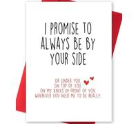 Divertida tarjeta de San Valentín con sobre, tarjeta de cumpleaños de aniversario travieso para novio I Promise to Always Be By Your Side tarjeta, regalo divertido para el primer segundo tercer