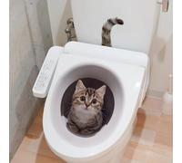 Divertidas calcomanías de gato, calcomanías de pared de PVC autoadherentes, decoración de baño extraíble para azulejos, espejos de vidrio, arte de mascotas resistente a la humedad para el hogar