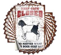 Divertidas calcomanías para coche con texto en inglés "Keep Gate Closed No Matter What The Boer Goat Say Funny Sticker 10 Pcs Beer Signs for Man Cave Car Stickers for Men (8 x 12 cm)