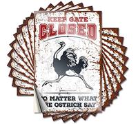 Divertidas calcomanías para coche con texto en inglés "Keep Gate Closed No Matter What The Ostrich Say Funny Sticker 10 Pcs Funny Car Decal Man Cave Sign Decor" (12 x 18 cm)