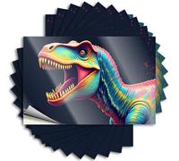 Divertidas calcomanías para coche, retrato de dinosaurio: calcomanías de arte prehistórico, 10 letreros de barra para decoración del hogar, calcomanías para niñas (12 x 18 cm)