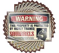 Divertidas calcomanías para parachoques con texto en inglés "Warning This Property is Protected by A Highly Trained Squirrel", 10 piezas de calcomanías divertidas para cueva de hombre (6 x 9 cm)
