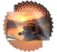Divertidas calcomanías para parachoques, Sunset Serenity: A Dog's Peaceful Rest by The Lake, 10 unidades, calcomanías familiares para coche, caja de herramientas (6 x 9 cm)