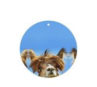 Divertidas tarjetas de ambientador de coche con estampado de llama de alpaca, 10 hojas perfumadas para colgar