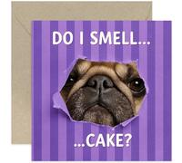 Divertidas tarjetas de cumpleaños para él o ella, regalo de cumpleaños de perro para mamá papá, "Do I Smell Cake", marido, esposa, hermano, hermana, interior en blanco con sobre
