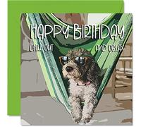 Divertidas tarjetas de cumpleaños para hombres y mujeres, diseño de perro chill cool, tarjeta de feliz cumpleaños para trabajo, colega, amigo, hermano, hermana, mamá, papá, hijo, hija, abuela, abuelo,