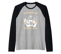 Divertido amante de las plantas Mis plantas están enraizando la terapia de jardineros Camiseta Manga Raglan