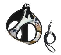 Divertido arnés para perro con estampado de bulldog inglés, 2 hebillas, chaleco para perro, clip frontal para correa sin tirones, para perros pequeños y medianos