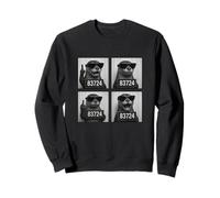 Divertido atuendo de nutria - Nutria en la cárcel - Resaca Sudadera