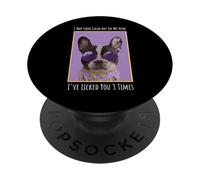 Divertido Boston Terrier Lindo Amante de los Perros PopSockets PopGrip Adhesivo