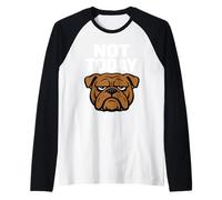 Divertido Bulldog Grumpy Dog Antisocial No Hable Conmigo Camiseta Manga Raglan