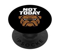 Divertido Bulldog Grumpy Dog Antisocial No Hable Conmigo PopSockets PopGrip Adhesivo
