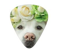 Divertido cachorro de labrador retriever,12 púas de guitarra, 3 grosores diferentes para guitarra acústica, bajo y ukelele