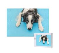 Divertido Cachorro de Perro Border Collie con Fondo Azul,Rompecabezas de Madera de 1000 Piezas para Adultos y Adolescentes.