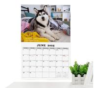 Divertido calendario 2025 - Planificador de pared interesante con temática Husky - Imagen clara colores brillantes planificador anual anual para familiares, amigos y niños