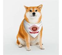 Divertido Día Pi Espiral Pi Matemáticas 3.14 Disfraces de Perro Ajustables Bandana Ajuste Triángulo Reversible Doble Diseño Bufanda para Mascotas Mediana